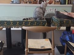 大堂-平行世界·猫咖(首经贸店)