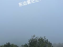 -阳台山森林公园