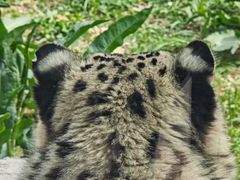 -青藏高原野生动物园