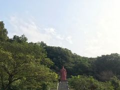 -陶祖圣境风景区