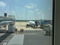 -郑州新郑国际机场-T2航站楼