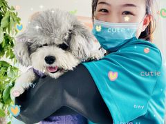 -美迦爱-牙专科·兔科·骨科诊疗中心(北苑店)