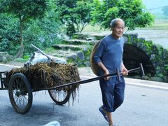 -村上春树