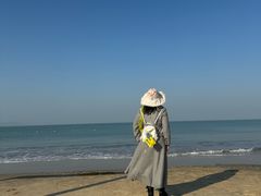 -汕尾风车岛
