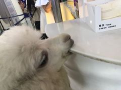 -Blue Concept Cafe&Farm·關於藍