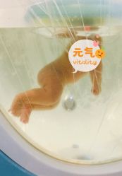 -乐悠游儿童游泳馆(宝安妇幼店)