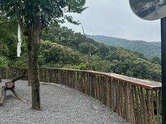 -广州市帽峰山景区