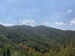 -苏木山森林公园