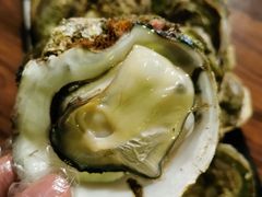 -土蚝·高压锅生蚝(百姓美食街店)