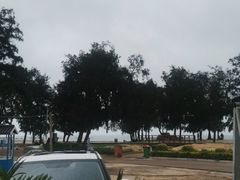 -阿弟特色海鲜餐厅·大排档(平潭店)