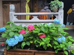 -龙姐私房菜(和顺古镇店)