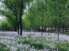 -将府公园