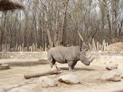 -北京野生动物园