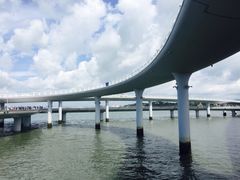 -演武大桥观景平台