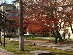 -北京友谊宾馆·俄罗斯餐厅