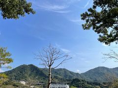 -白石龙音乐公园
