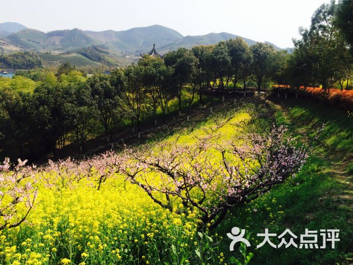 城山沟桃源山庄图片 - 第9张