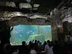 -嘉兴海底世界