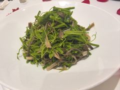 -悦融琥珀·京鲁菜·海味珍品(西单店)