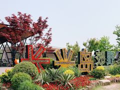 -上海长兴岛郊野公园