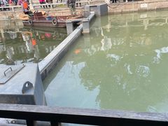 -黎里古镇