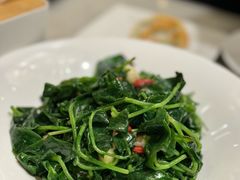 -金鼎轩(方庄天坛店)