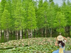 -白鹭湾湿地公园