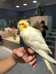 -Moni星球萌宠·小马宝莉·灵蛇·高端高阶全萌宠互动体验俱乐部(红豆国际广场店)