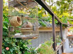 -三喜龙虾(江西路总店)