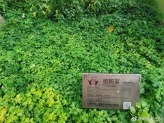 -广州神农草堂中医药博物馆