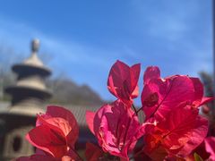 -红螺寺