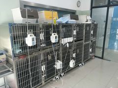 -申普宠物医院·眼科·心内科·影像科(普陀分院)