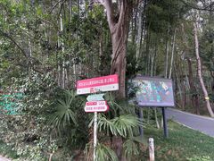 -冶父山国家森林公园