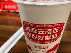 -蜜雪冰城(国权路地铁口店)