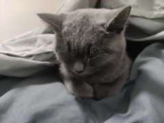 -宠颐生汉谟拉比宠物医院