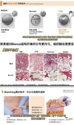 -北京楚诺医疗美容