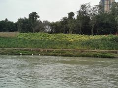 -府河摄影公园