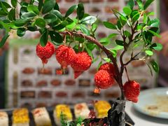 -奔跑吧陕菜·盛世长安(民乐园万达店)