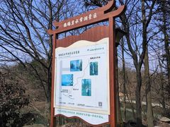 -四明山国家森林公园