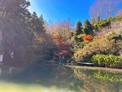 -莫干山风景区