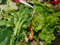-雀舞云南菜(乐客城店)