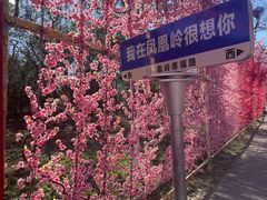 -北京凤凰岭