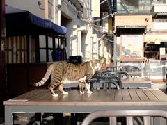 -牛车水美食街