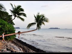 -巴拉湾海滩