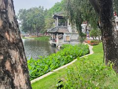 -荔湾湖公园