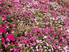 -荔湾区儿童公园