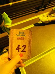 -翱翔飞越地平线