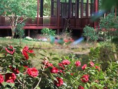 -深圳国际园林花卉博览园