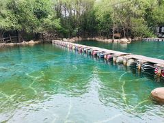 -大鹅岛绿色生态美食园