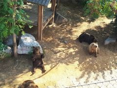 -石家庄市动物园